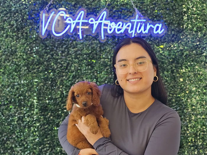 Jennifer V. Staff Photo