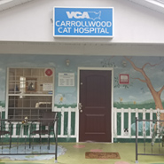 /-/media/2/vca/images/hospitals/united-states/florida/carrollwood-cat/galleries/185x185_carrollwoodfl_hospital.ashx