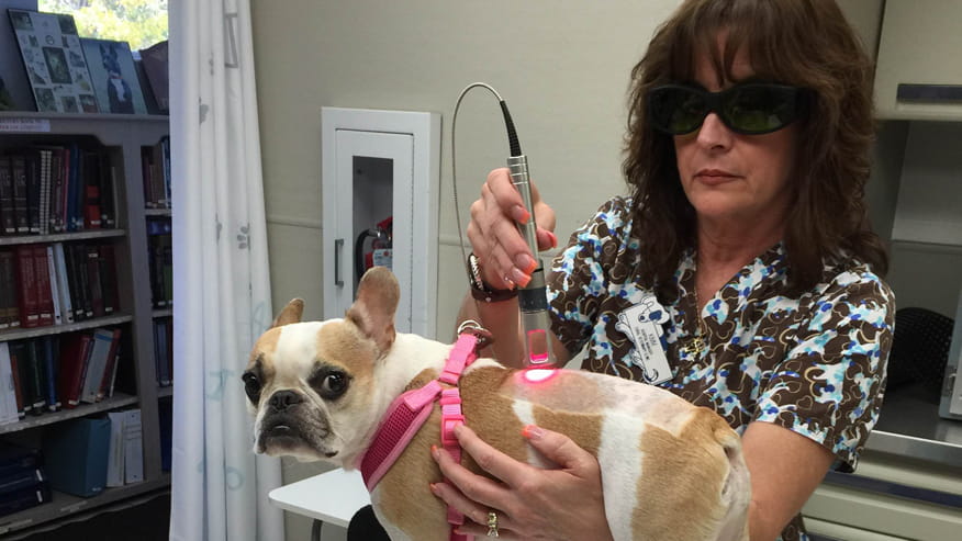 cold laser therapy