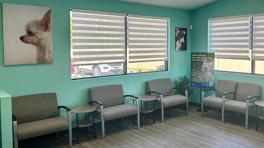 VCA Cypress Creek lobby