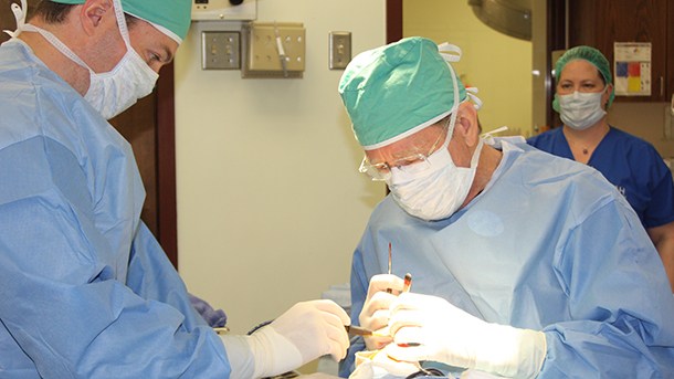 Orthopedic Surgeons at VCA Hollywood Animal Hospital