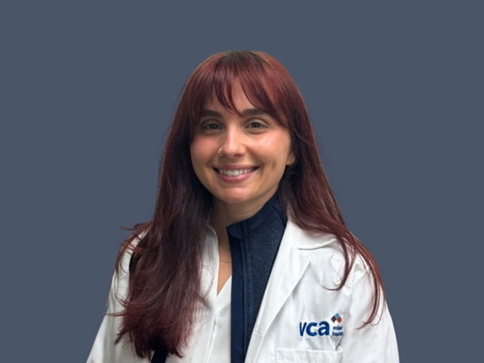Dr. Chloe Borriello Staff Photo