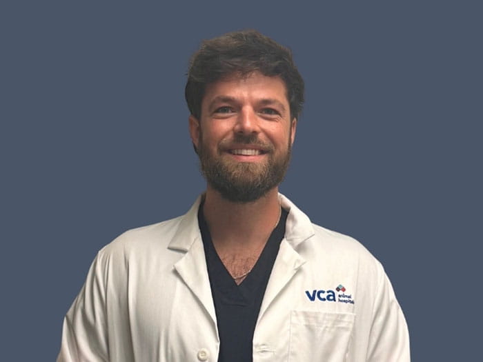 Dr. David Driggs Staff Photo