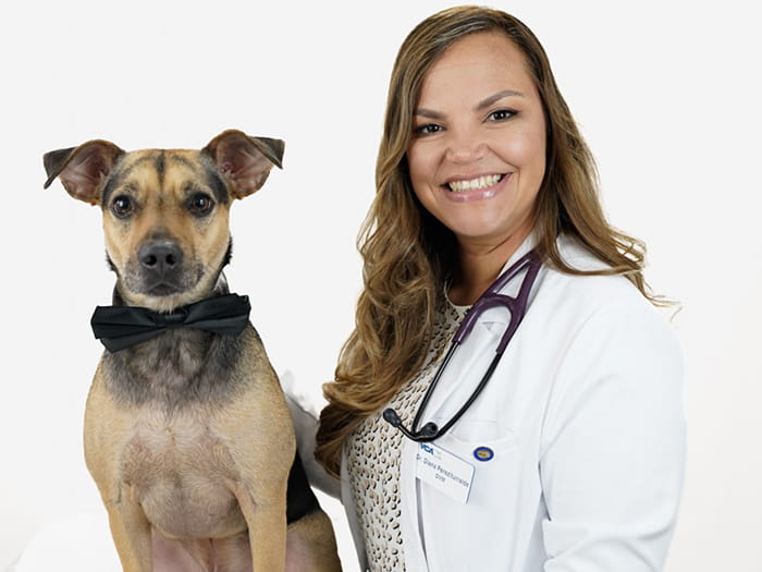 Diana Perez Iturralde Staff Photo 2022