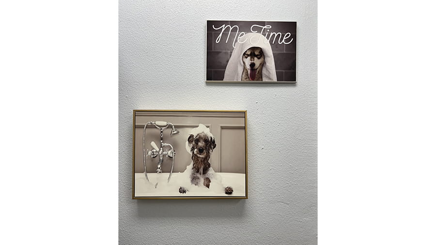 Bathing Area at VCA Little Animal Hospital