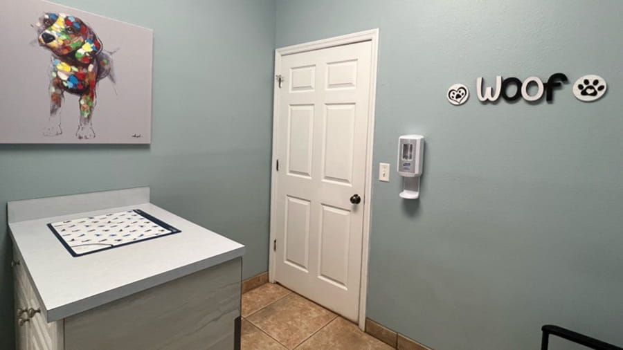 Exam Room 1 at VCA Little Animal Hospital