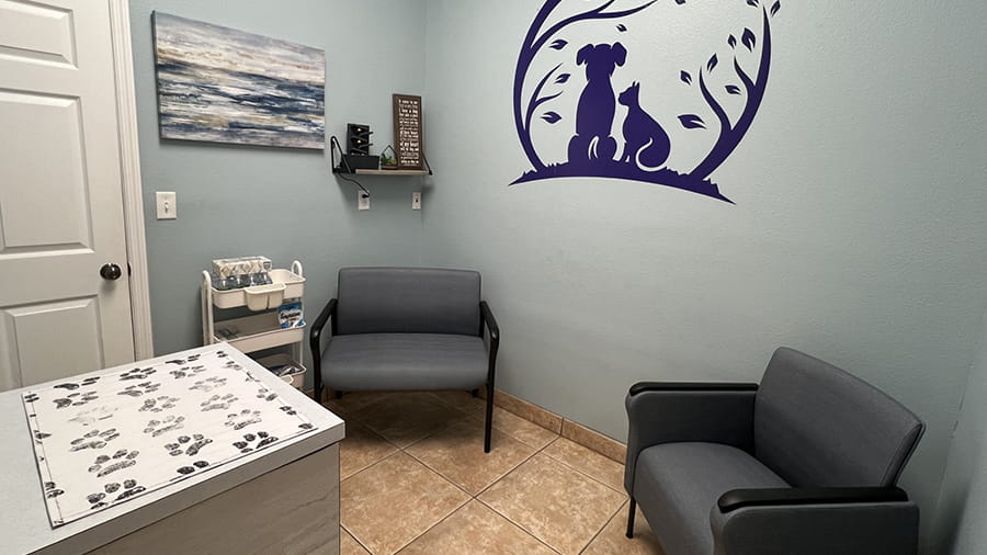 Exam Room at VCA Little Animal Hospital