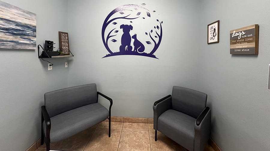 Exam Room at VCA Little Animal Hospital