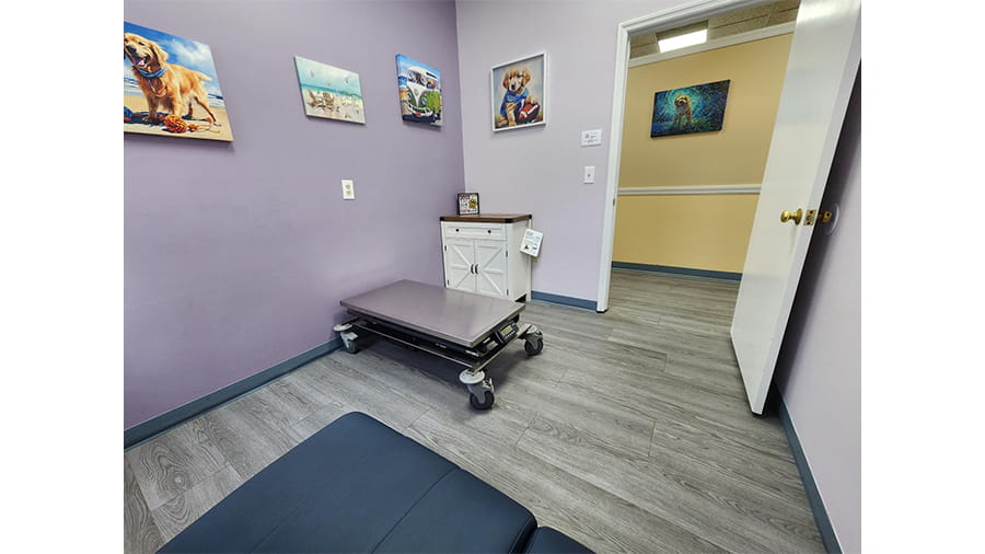 Exam Room at VCA Lockwood Ridge Animal Hospital
