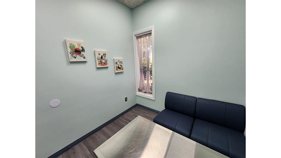 Exam Room at VCA Lockwood Ridge Animal Hospital