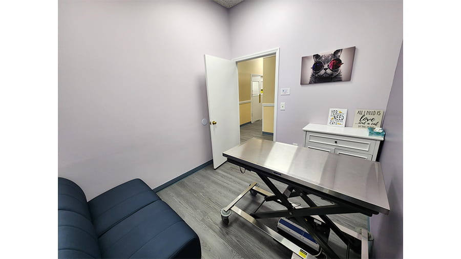 Exam Room at VCA Lockwood Ridge Animal Hospital