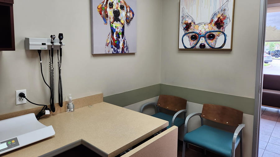 Exam Room at VCA Rock Creek Animal Hospital