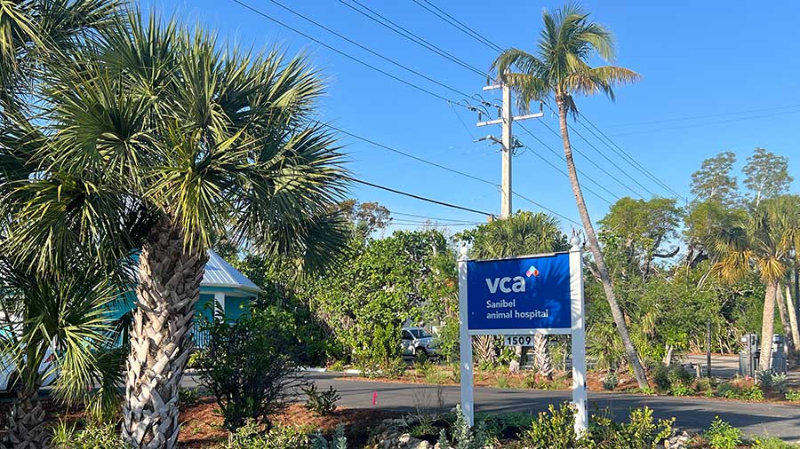 VCA Sanibel Exterior