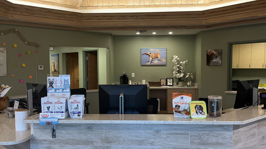 VCA Sanibel Lobby