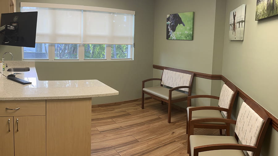 VCA Sanibel Exam Room