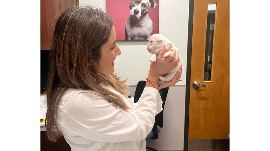 Dr. Campos with puppy at VCA South Dade Animal Hospital