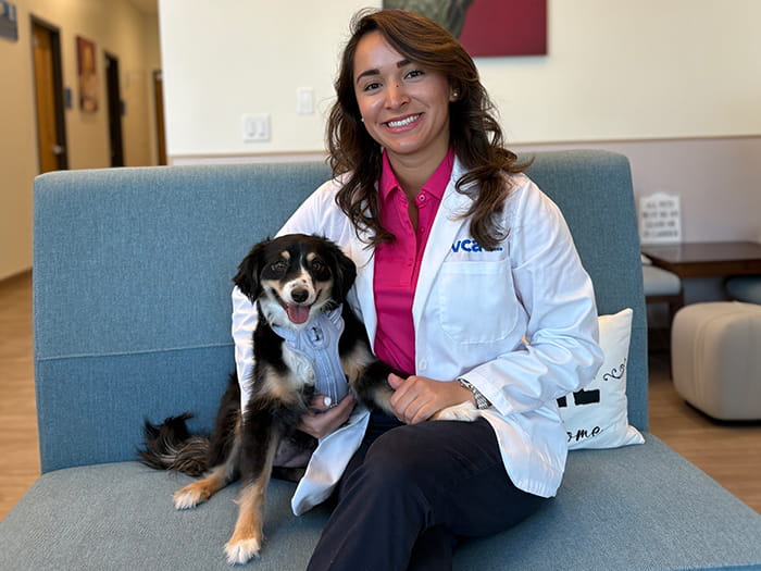 Dr. Kacey Hung Staff Photo