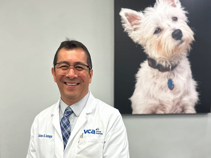 Dr. Jaime Amaya Staff Photo