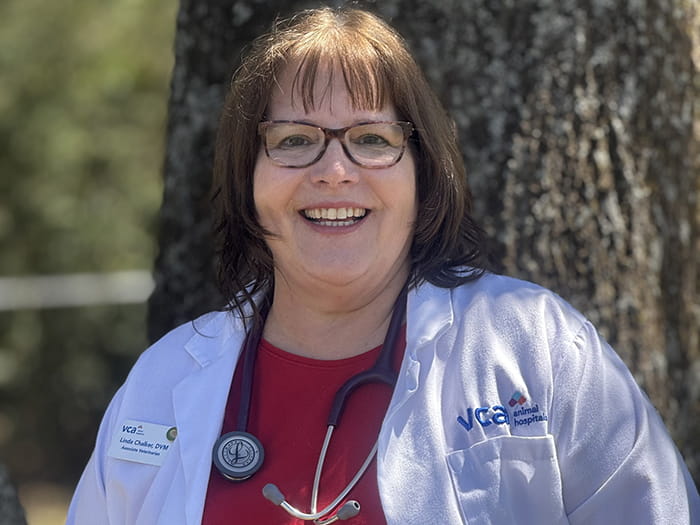 Dr. Linda Chalker Staff Photo