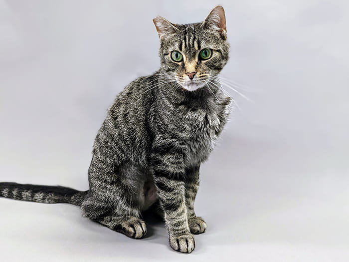 Mary Kate Staff Photo