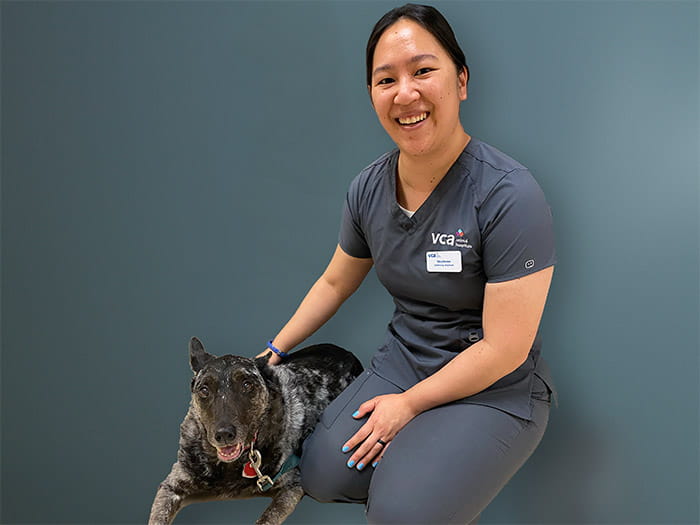 Stephanie Hsu Staff Photo