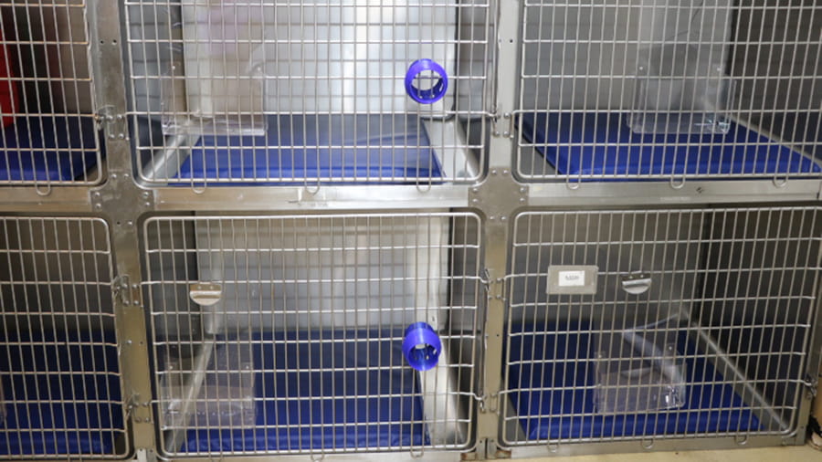 Treatment area at VCA North Atlanta