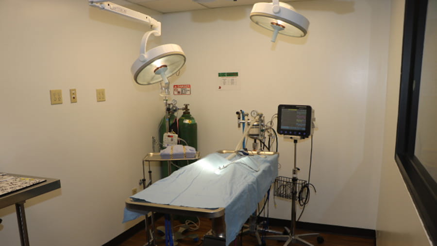 Surgery suite at VCA North Atlanta