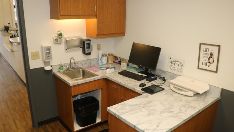 Exam room at VCA North Atlanta