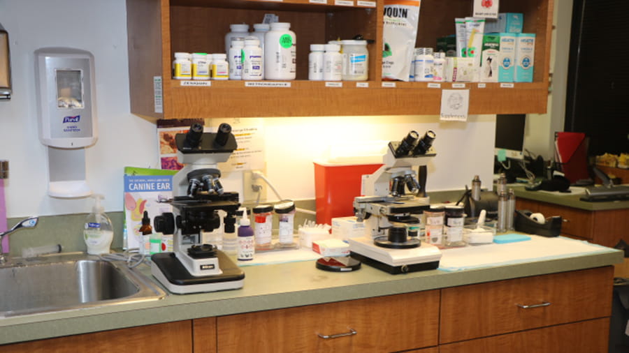 In-house pharmacy and lab at VCA North Atlanta