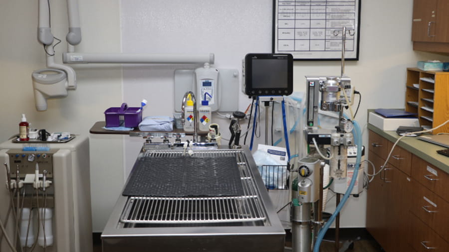 Treatment area at VCA North Atlanta