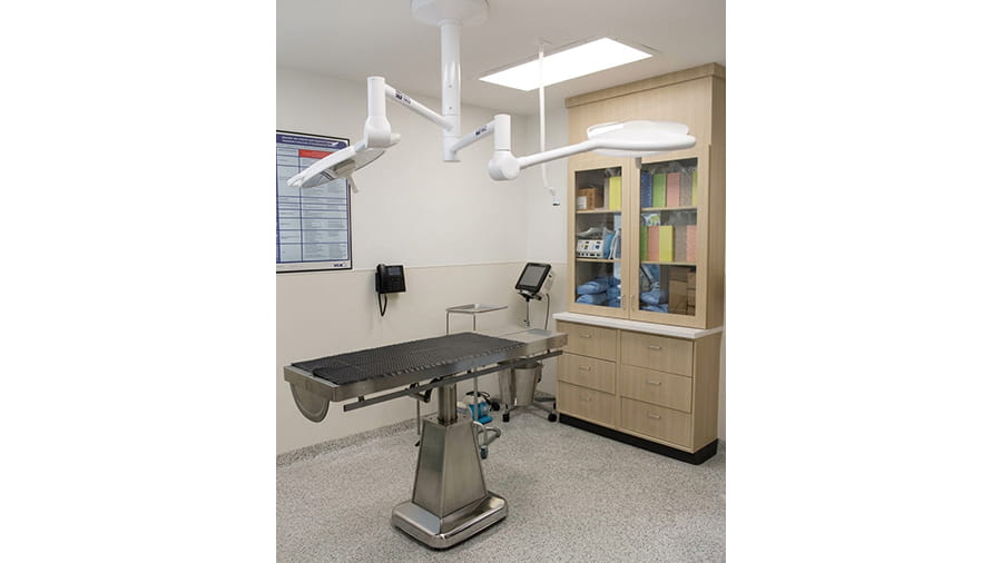 VCA Peachtree Animal Hospital surgery suite