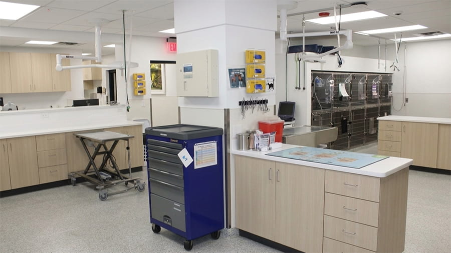VCA Peachtree Animal Hospital treatment area