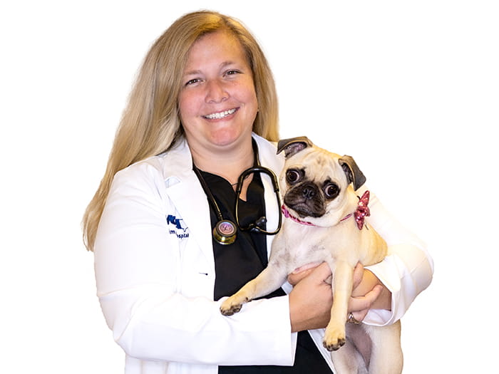 VCA Family and Oahu Veterinary Specialty Center Staff Page