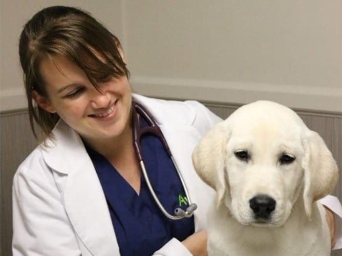 Dr. Justine Yaphe Staff Photo