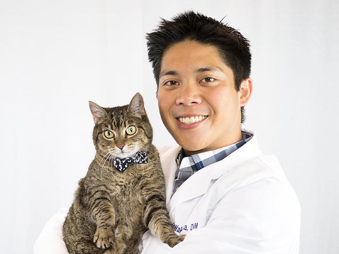 Dr. Justin Wakayama Staff Photo