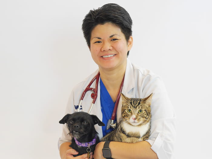 Dr. Lauren Kishimoto