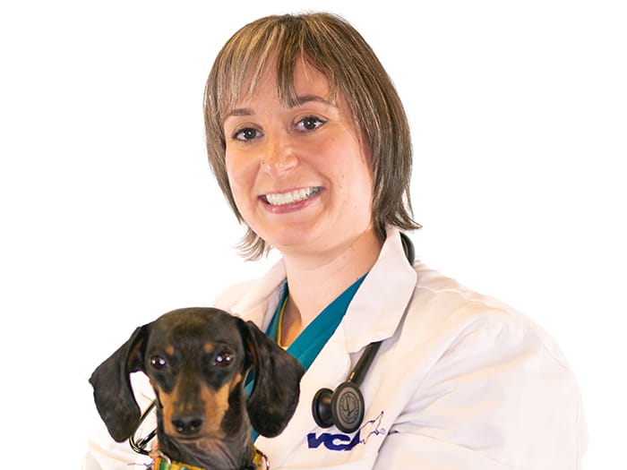 Lucy Teddy Staff Photo