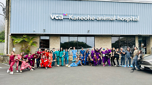 VCA Kaneohe Team Photo