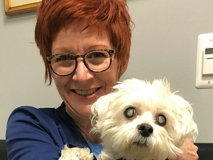 Shay | VCA Ark Animal Hospital