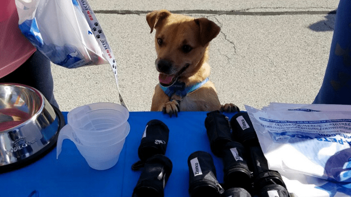 720x405 boulder terrace CP2