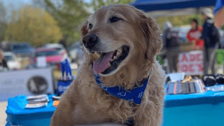 720x405 boulder terrace CP3