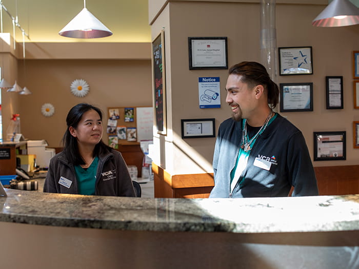 VCA Cairo Client Services Team