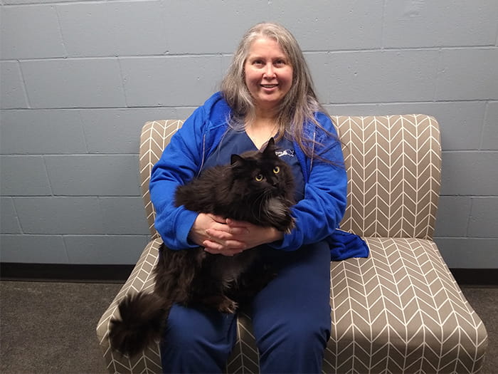 VCA Klingele Animal Hospital Staff Page