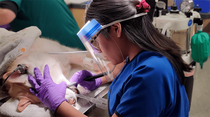 720x405 mont clare Services Dentistry