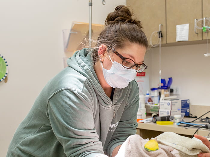 Nicole Hill Staff Photo