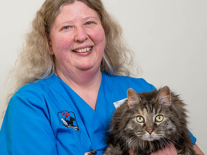 VCA Animal Hospital of Plainfield Staff Page