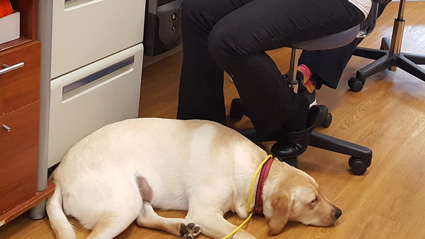 Avondale Adult and Senior Wellness