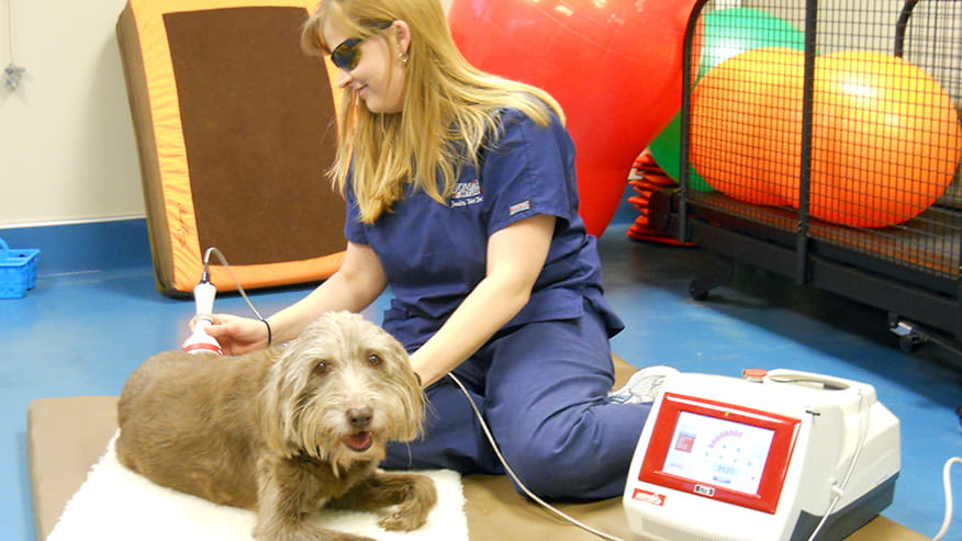 Cold Laser Therapy