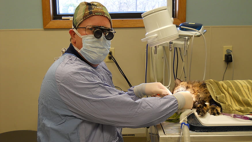 Avondale Dental Care