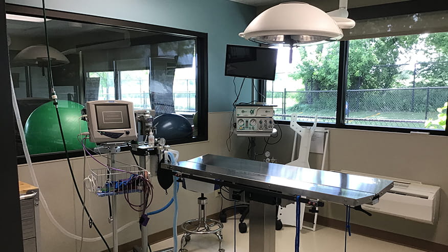 Avondale Laparoscopy